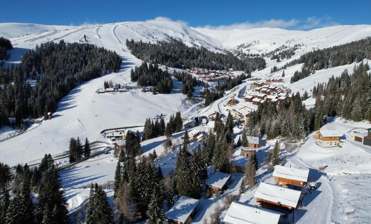 Almhaus Chalet Lachtal Oberwoelz Stadt Екстериор снимка