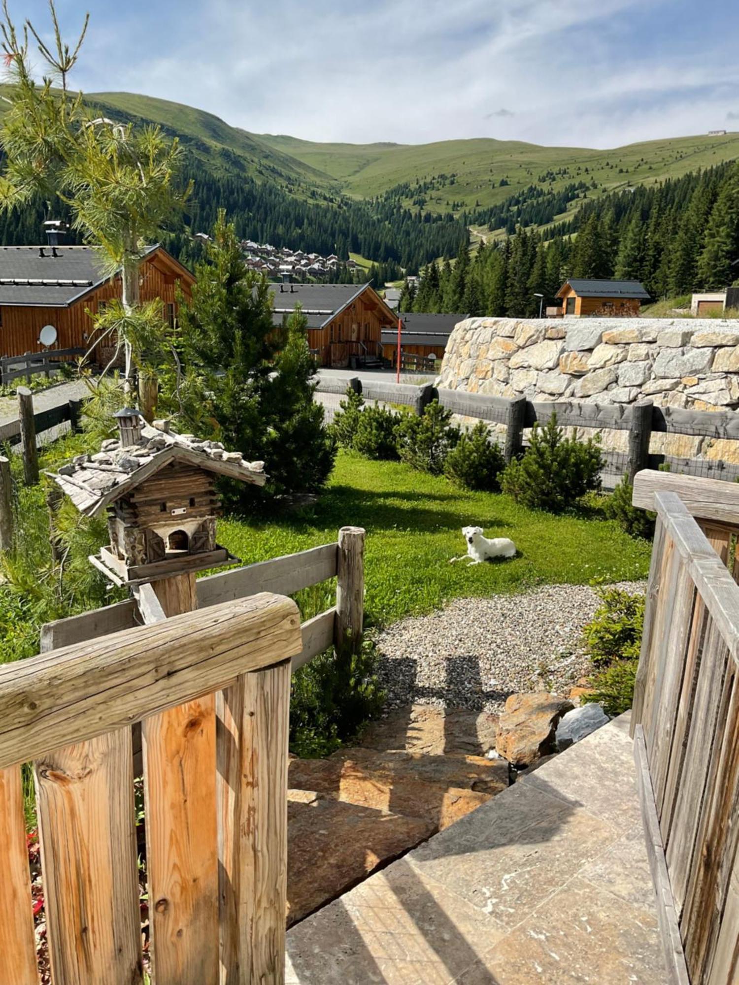 Almhaus Chalet Lachtal Oberwoelz Stadt Екстериор снимка